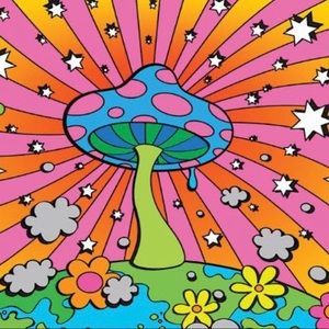 Meet your Posher, Sunny